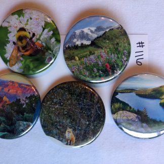 Nature Button Pack #116, Set of 5